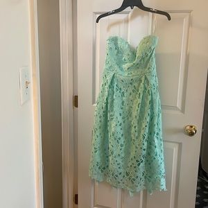 Gorgeous mint lace appliqué midi dress👗